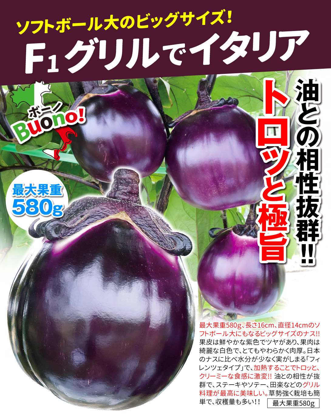 グリルでイタリア・メイン