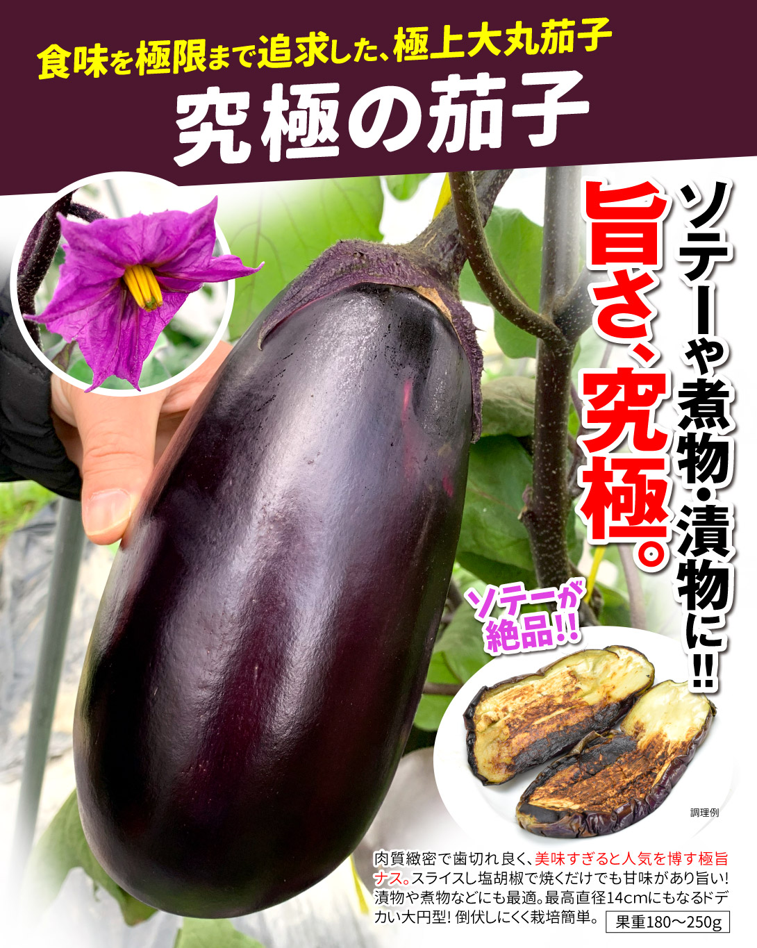 究極の茄子・メイン