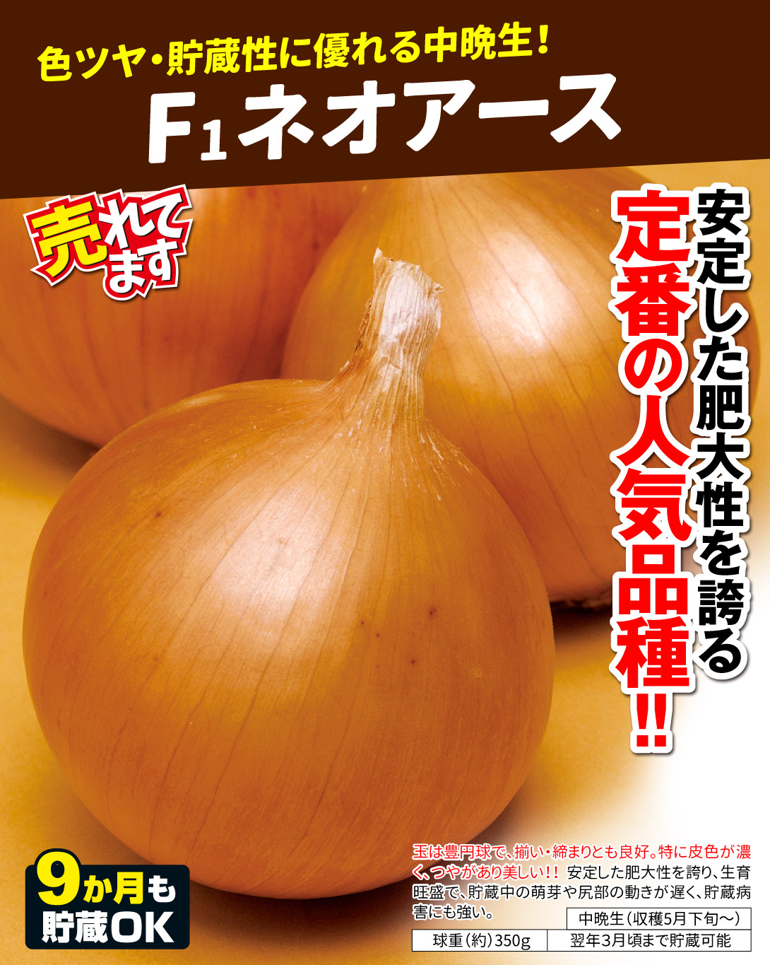 ネオアース・メイン