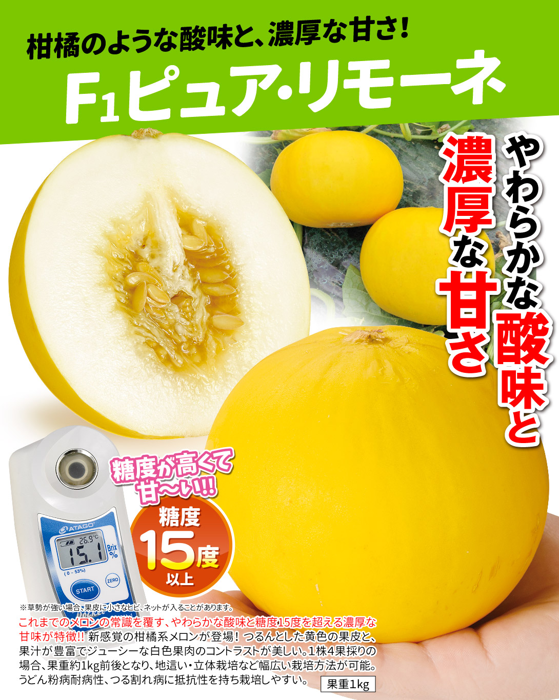 ピュアリモーネ・メイン