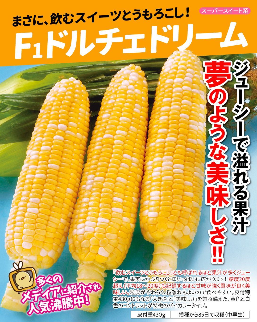 ドルチェドリーム・メイン