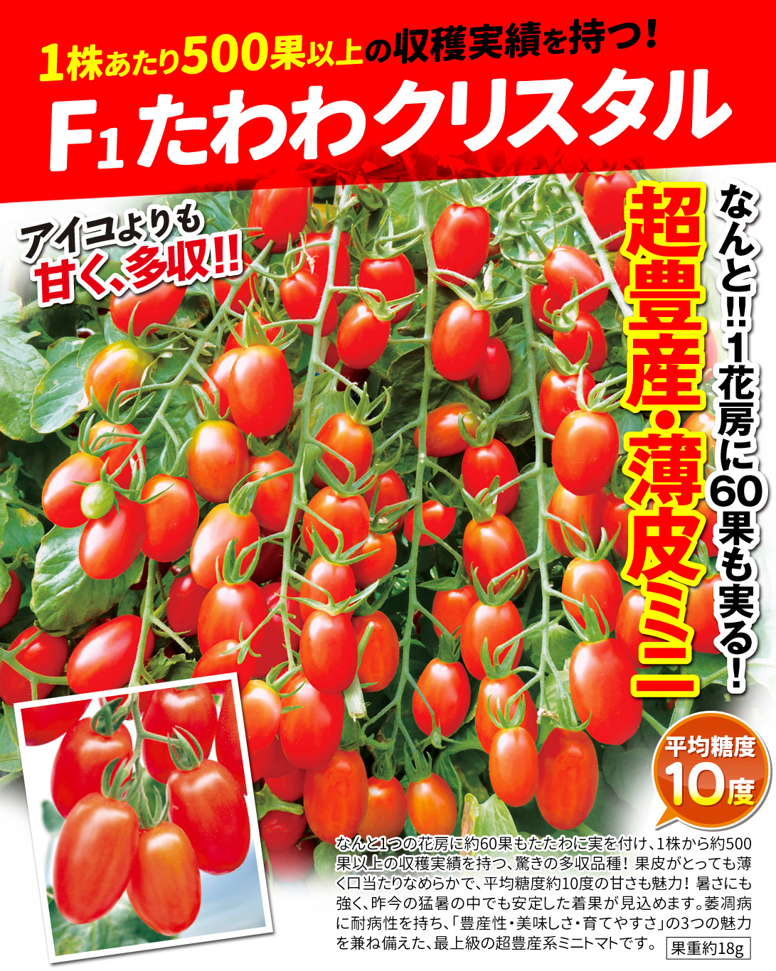 たわわクリスタル・メイン