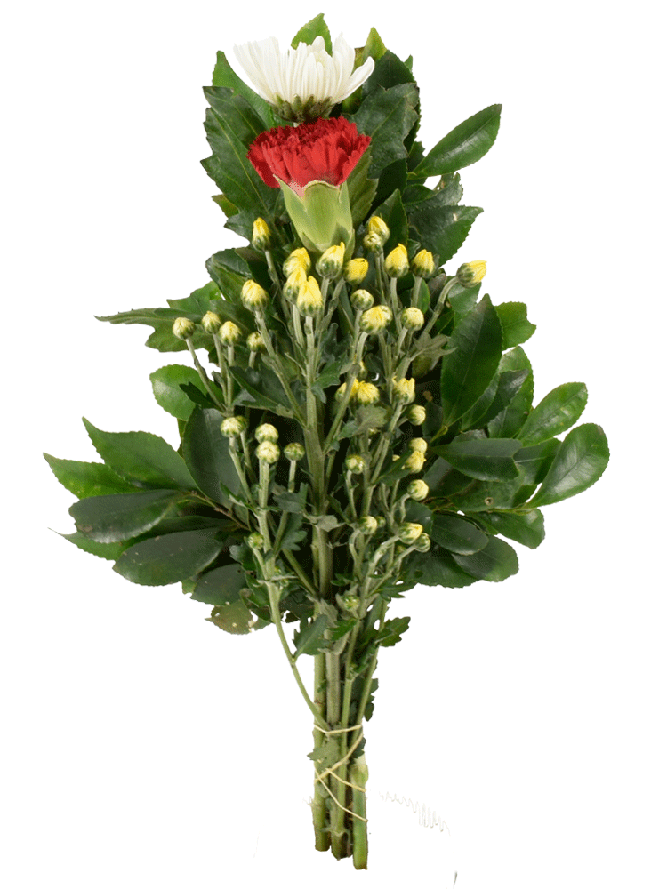 仏花・Dタイプ