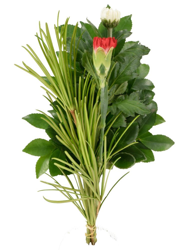 仏花・Eタイプ