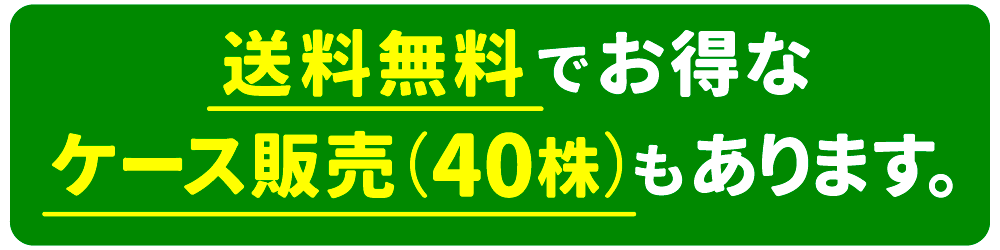 ケース販売
