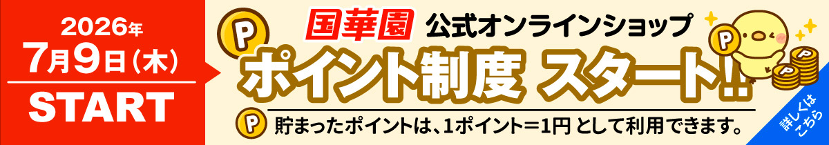 ポイント開始
