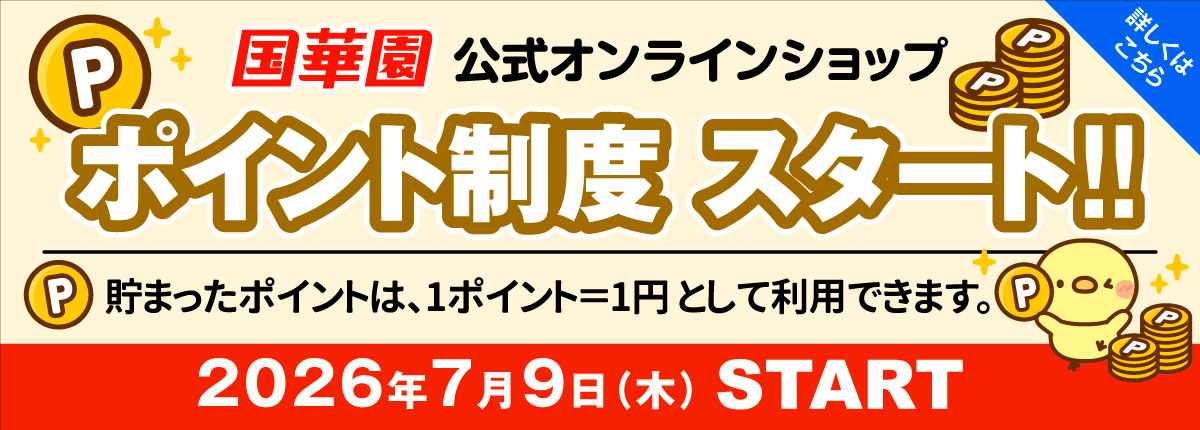 ポイント開始