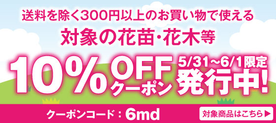 植物10%OFFクーポン