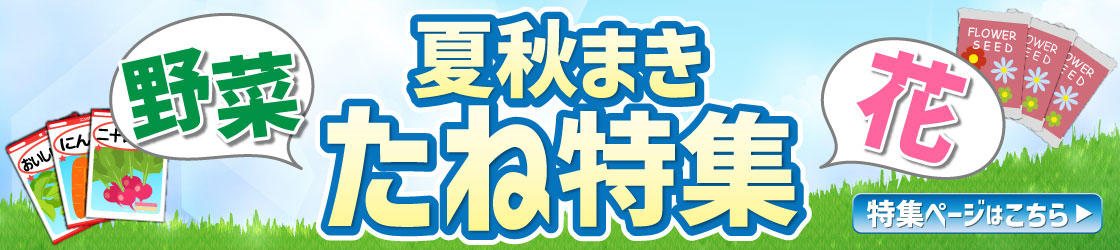夏秋たね