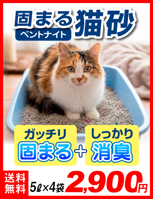 猫砂