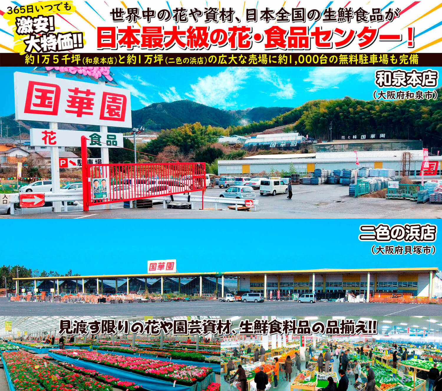 国華園最新チラシ