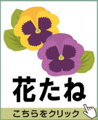 花たね