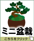 ミニ盆栽