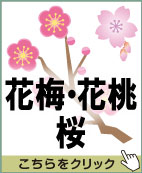 花梅・花桃・桜