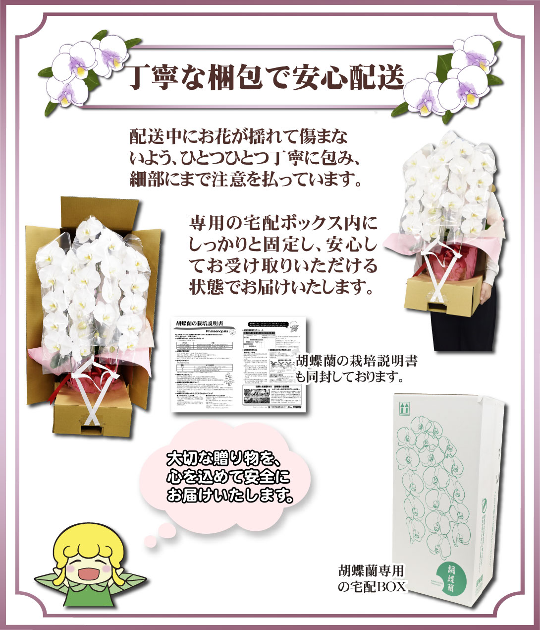 胡蝶蘭梱包対策