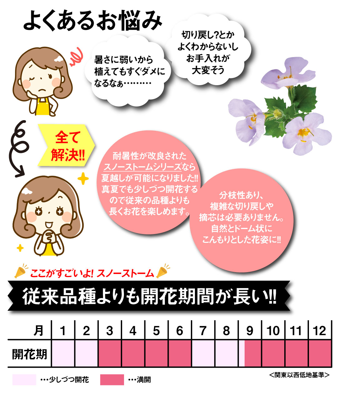 ステラ グレイシアブルー