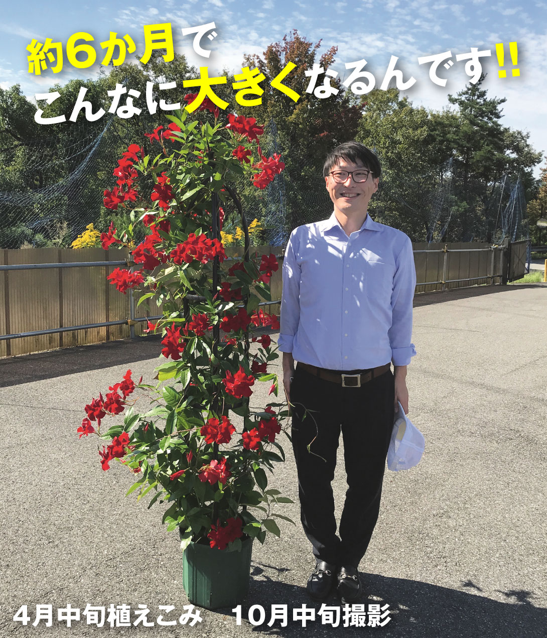 クライミングサンパラソル レッド
