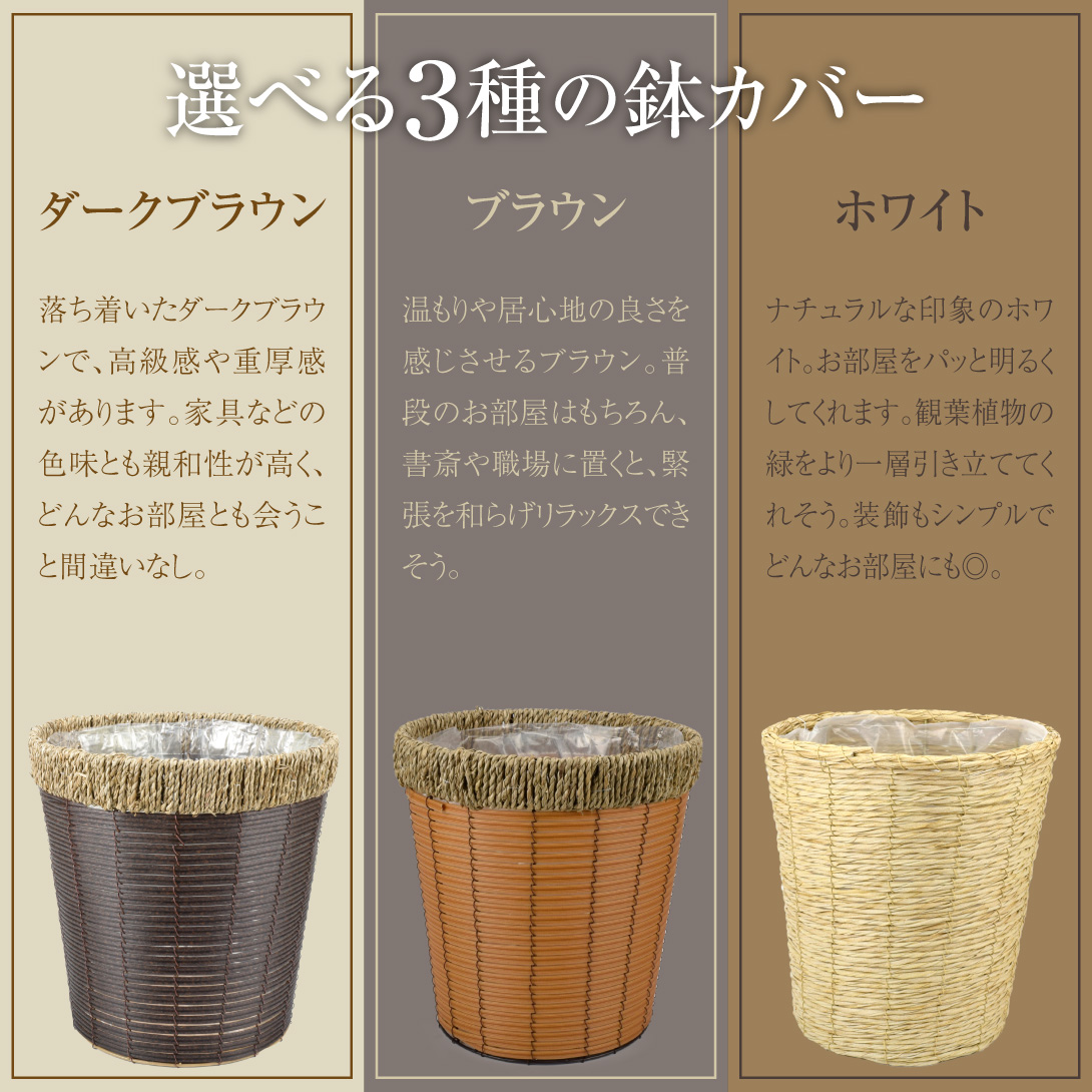 観葉植物・鉢カバー