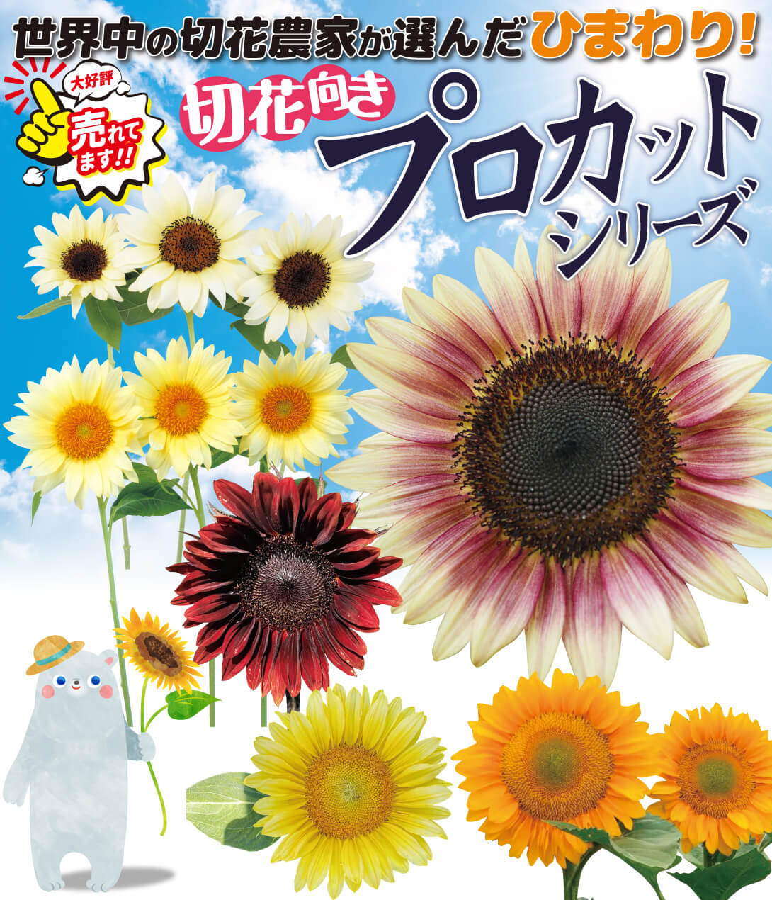 花種 ひまわり F1プロカットセット