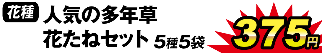多年草花たねセット