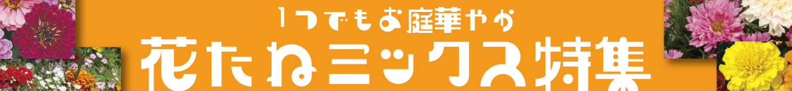 花種ミックストップ