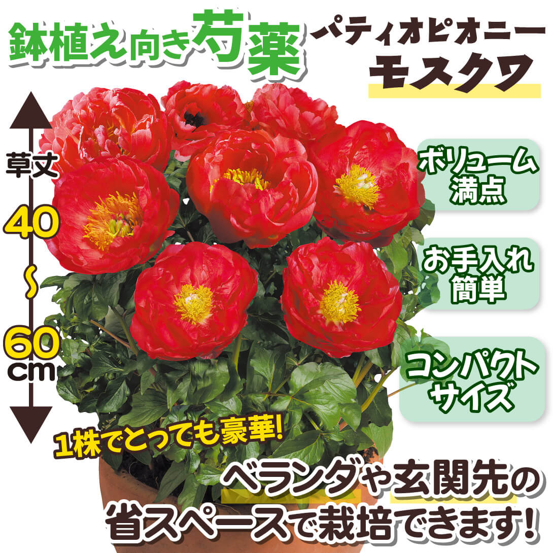 モスクワ