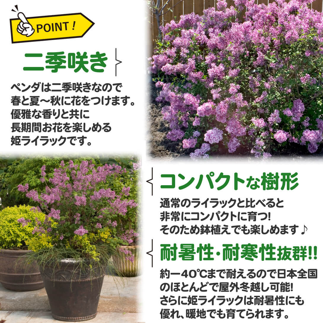 ペンダ2