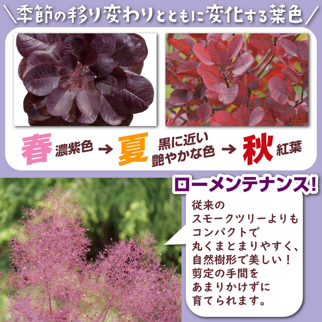ワインクラフトブラック2