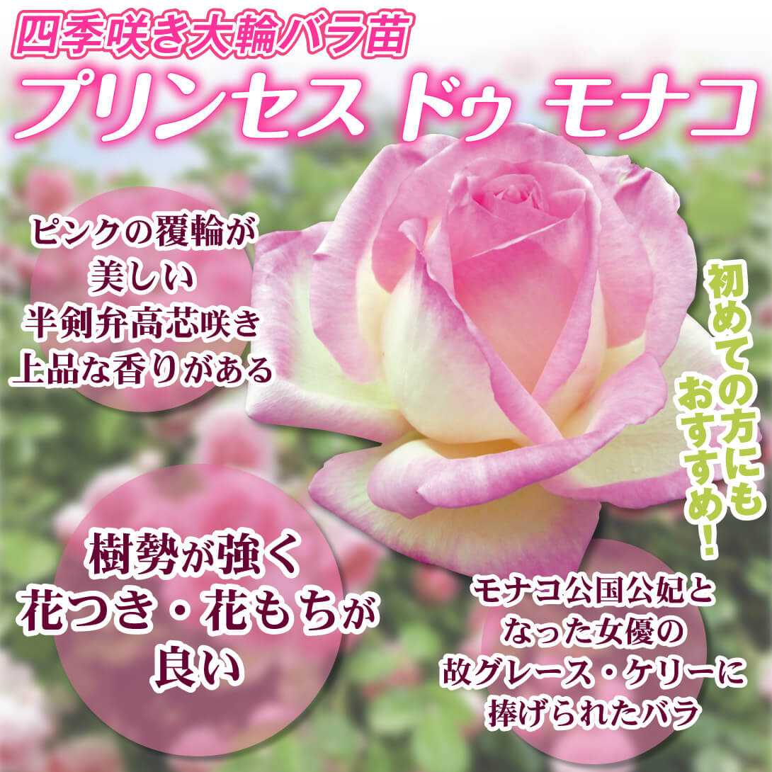 プリンセスドゥモナコ