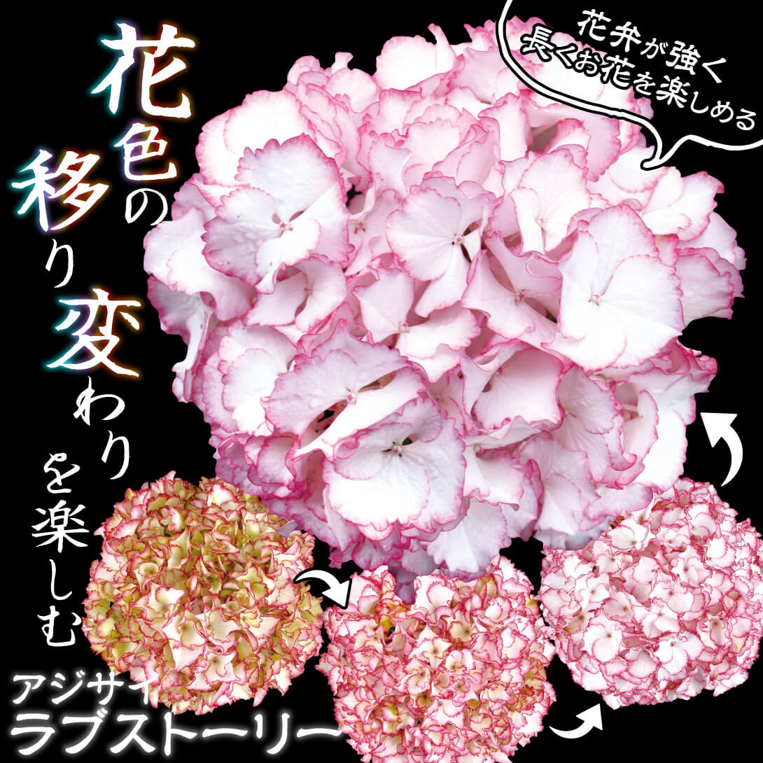 ラブストーリー