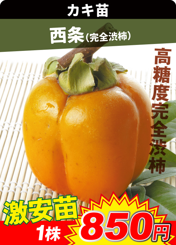 西条 渋柿