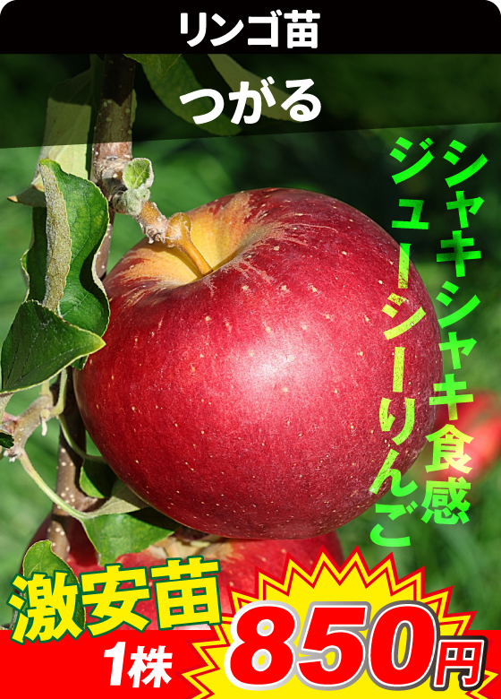 つがる