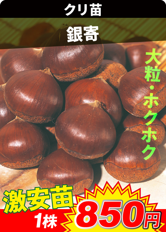 銀寄