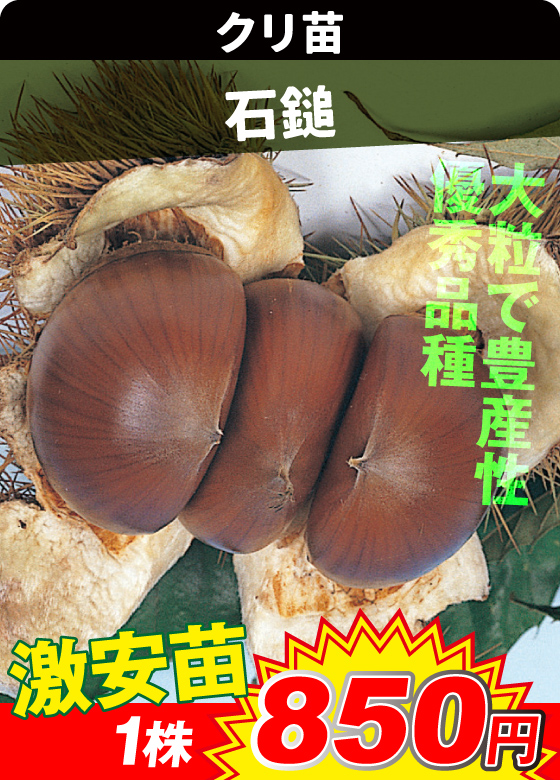 石鎚