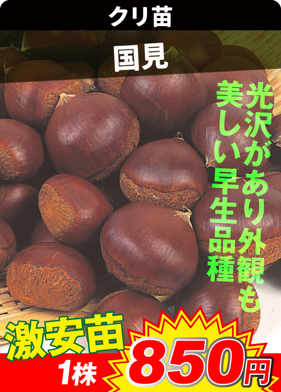 国見