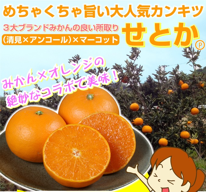 せとか1