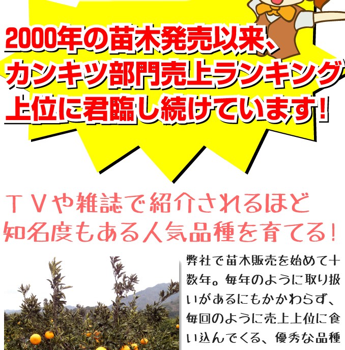 せとか2
