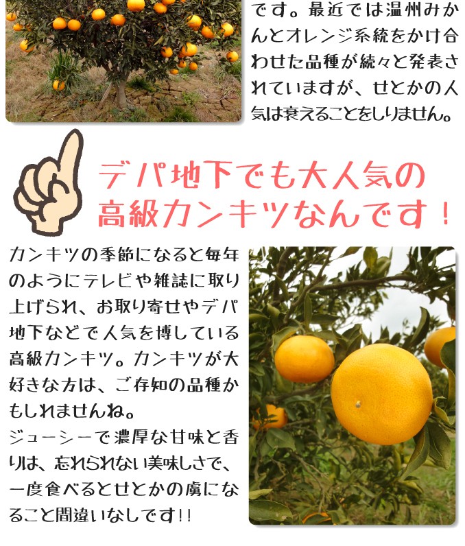 せとか3