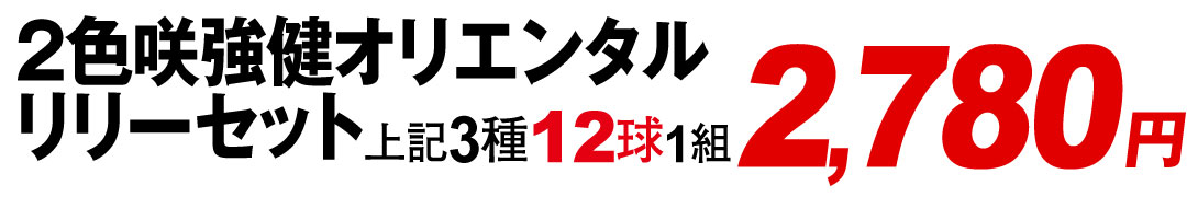 2色咲強健オリエンタルリリーセット