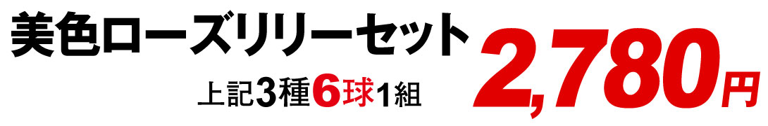 美色ローズリリーセット