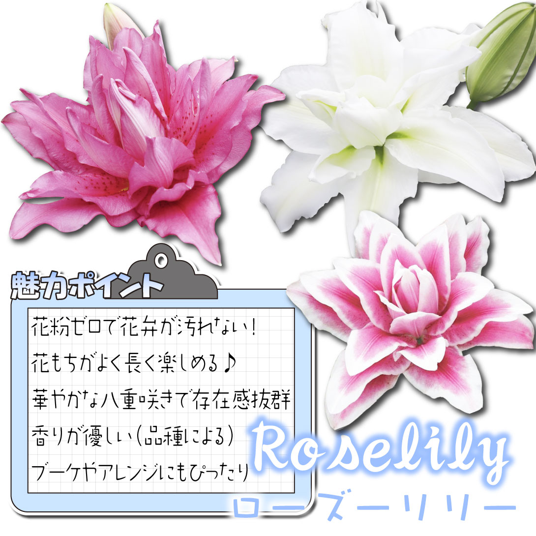 美色ローズリリーセット