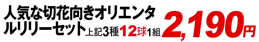 人気な切花向きオリエンタルリリーセット