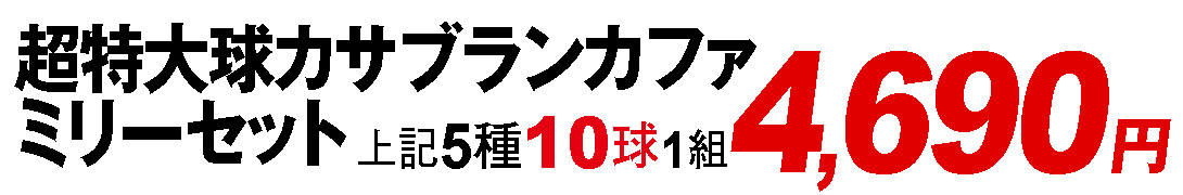 超特大球カサブランカファミリーセット