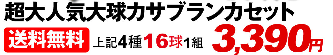 大人気大球カサブランカセット