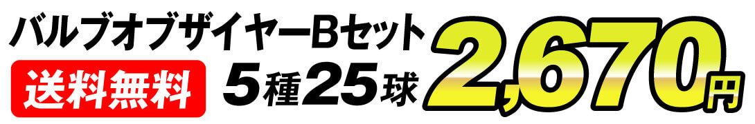 バルブオブザイヤー価格2670円