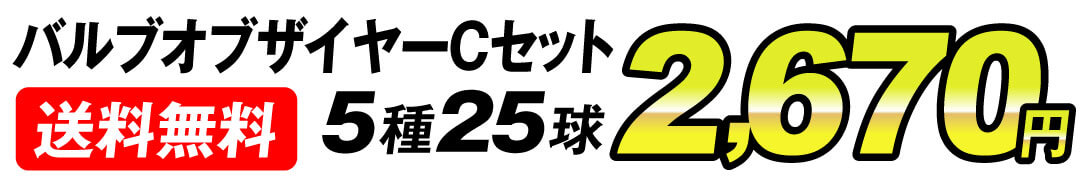 バルブオブザイヤー価格2670円