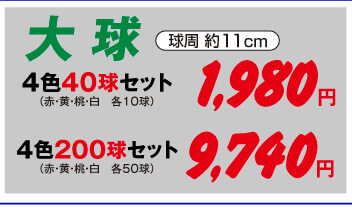 チューリップ大球4色セット