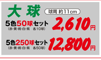 チューリップ大球5色セット