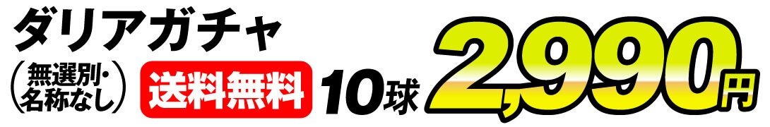 ダリアガチャ価格2990円