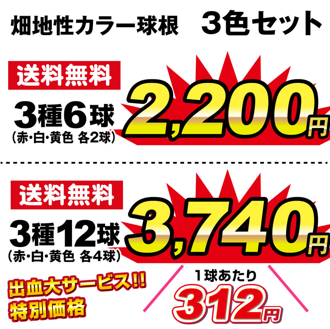3色セット価格